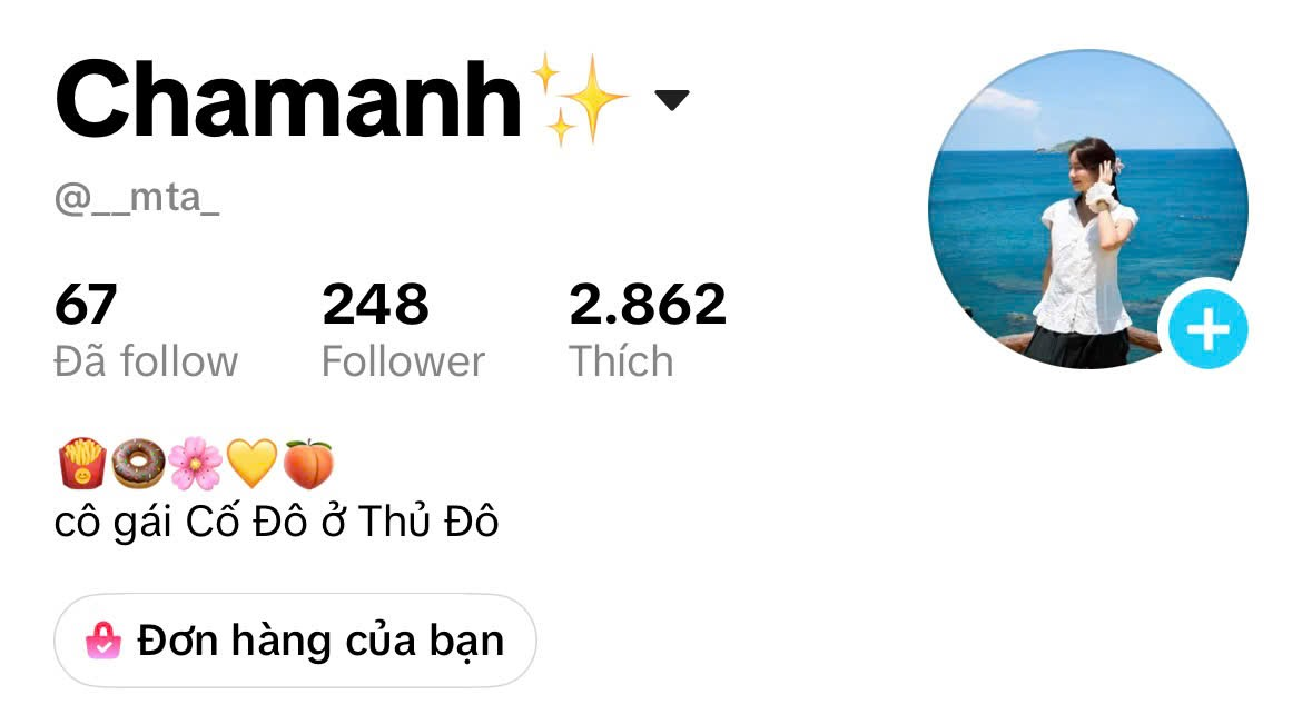 Chamanh TikTok account profile