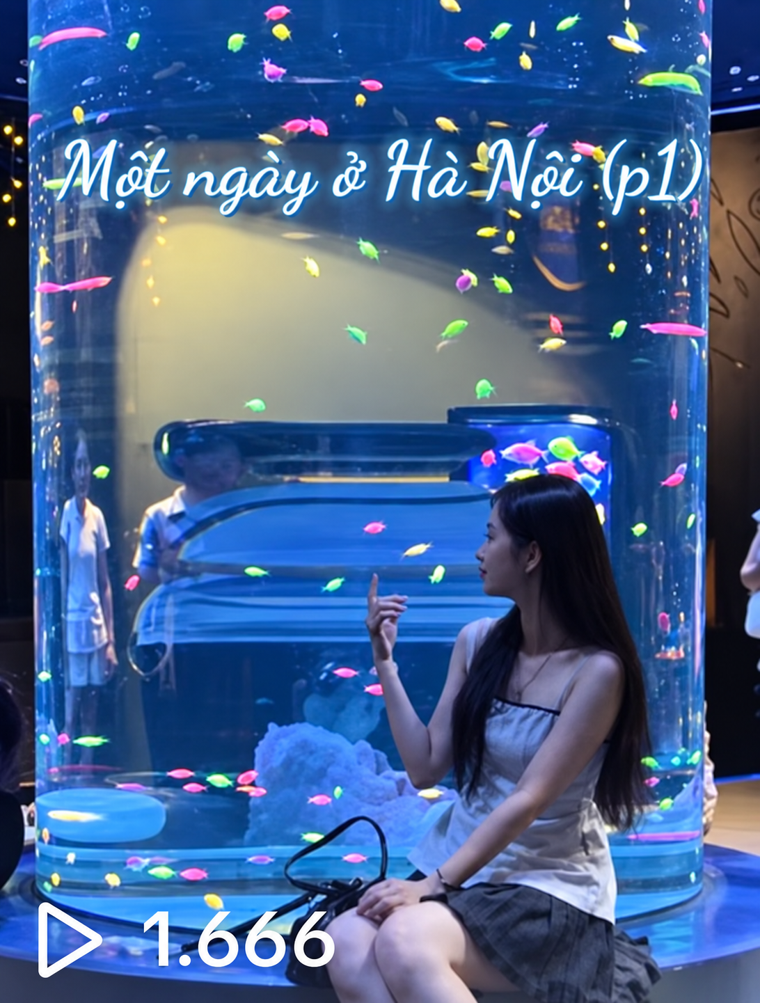 Một ngày ở Hà Nội (p1) - aquarium visit